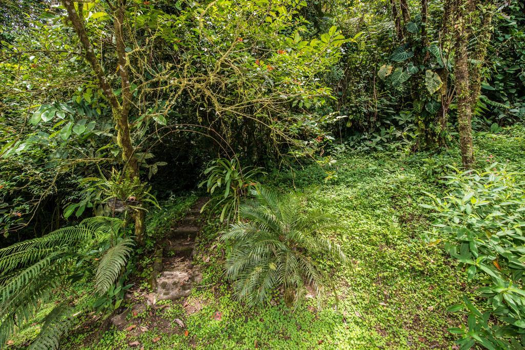 Lucky Bug Bed And Breakfast Nuevo Arenal Esterno foto