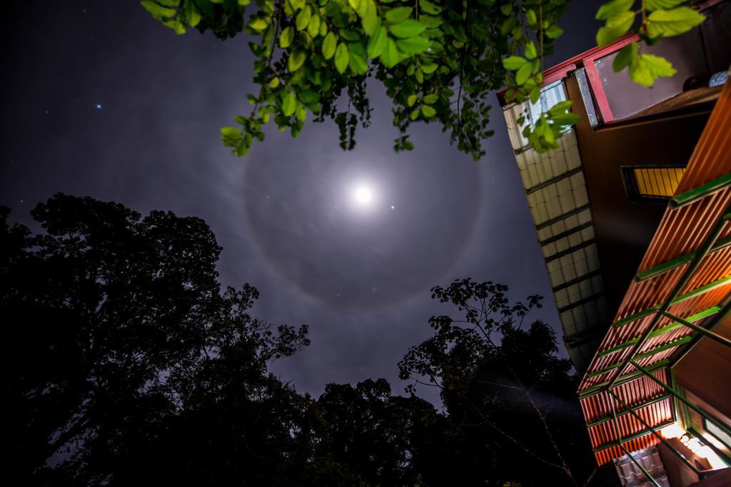 Lucky Bug Bed And Breakfast Nuevo Arenal Esterno foto