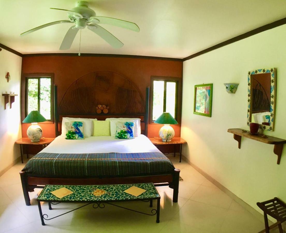 Lucky Bug Bed And Breakfast Nuevo Arenal Esterno foto
